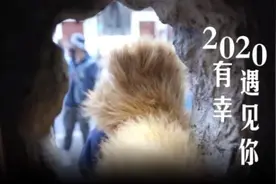 特别回顾丨再见2020 相约2021 希望继续“遇见你”图片
