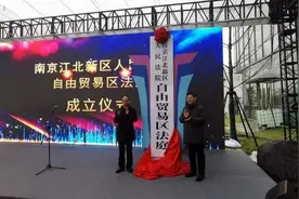 南京江北新区自由贸易区法庭今天挂牌成立图片