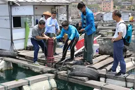 助力“蓝眼泪”现象研究 新型浮游生物水下成像仪在平潭测试图片