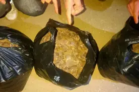 抓！广西三男子非法运输穿山甲鳞片图片