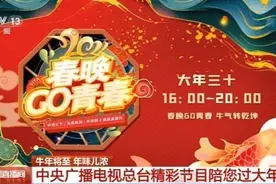 就地过年不寂寞！中央广播电视总台精彩节目陪你过大年图片