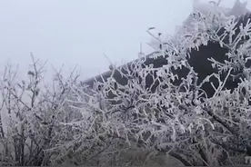 雪落下的声音 峨眉山下雪啦图片