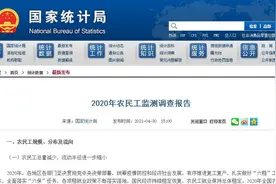国家统计局：2020年全国农民工总量28560万人 比上年减少517万人图片