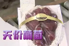 140万日元！日本“浪漫红宝石”葡萄拍出天价图片