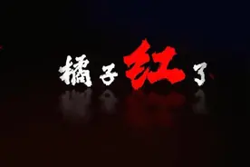 「你好新时代」参赛作品展播丨橘子红了图片
