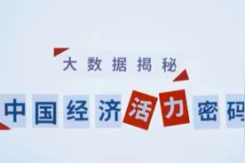 解码中国经济“活力密码”快来看哪些项有你的贡献图片