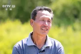 坚守46年造林百万株 共产党员张英善：“树在就等于我在”图片