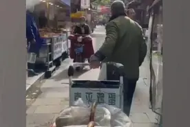 喜平鸡蛋，一定要买图片