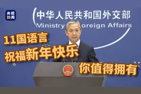 外交部发言人用11国语言 祝福大家新年快乐图片