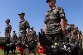 惜别无言战友 一场特殊的警犬退役仪式图片
