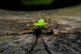 写给自己的正能量短语，句句入心，读读受益无穷图片