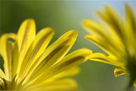 繁华三千，看淡即是云烟；烦恼无数，想开就是晴天，早安图片