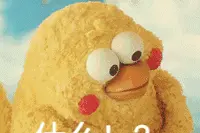 红花会解散！成员贝贝凌晨直播砍手指，平台回应：已禁播图片