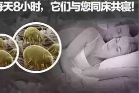家中螨虫如何清除？最强汇总送上……图片