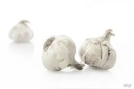 食物发芽直接丢掉？这3种留着，不仅好吃，还特营养图片