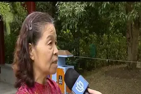 沁人心脾！公园桂花香飘四溢 满园芬芳吸引市民赏花视频封面