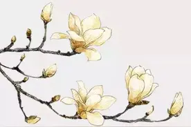 青瓦飞檐，又见泗泾之纹图片