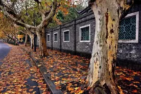 亏本也要卖！杭城“高价地”们熬不住了，集体“割肉”抢跑……图片