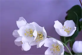 异性相处，男人对你动了真情，才会情不自禁的对你说这些小情话图片
