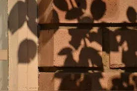 别太依赖任何人，当你在黑暗中挣扎的时候，连你的影子也会离开你图片
