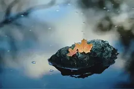 「摄影技巧」怎么拍出秋天的意境美，不要套路，要趣味！图片