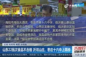 食品抽检结果出炉 共22批次食品检查不合格 枣庄十六中上黑榜视频封面