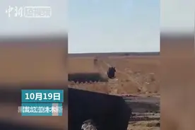 黑龙江民丰村“熊出没” 群众田野间遇黑熊视频封面