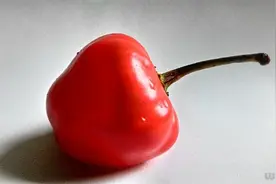 炒菜的时候放辣椒会变得好吃，但是有些食物是不能同辣椒一起放的图片
