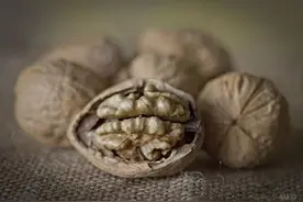 冬天吃核桃有益身体，却有一样禁忌，还有人不清楚，别犯错误了图片