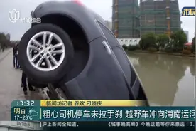 不可大意！粗心司机停车未拉手刹，越野车冲下台阶差点坠河视频封面
