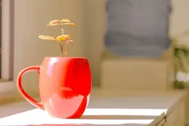 职场饭局，情商高的人往往留意这五点，难怪老板那么重用图片