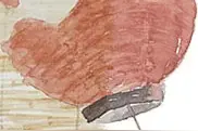 原创：理想生活，用心甘情愿的态度，过随遇而安的生活图片