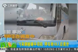飞来钢板砸中心脏部位，司机强忍疼痛靠边停车，救下19人后身亡视频封面