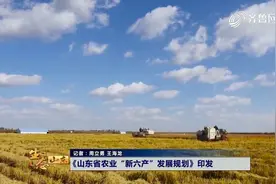《山东省农业“新六产”发展规划》印发，山东第一个重大涉农规划视频封面