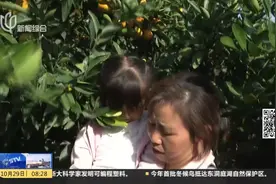 阳光明媚，秋意盎然！正是郊游的好时节，长兴岛郊野公园游人如织视频封面