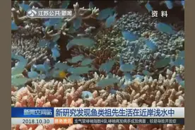 鱼类出现在4.8亿年前，化石到4.2亿年前才发现，这中间经历什么？视频封面