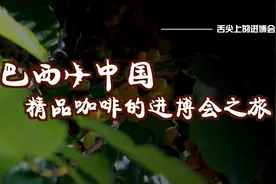 舌尖上的进博会：什么样的咖啡才算精品？巴西是这样打分的视频封面