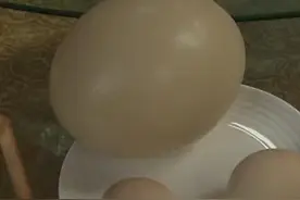 一颗鸵鸟蛋相当于三十颗鸡蛋！竟能承受九十斤的重量！视频封面