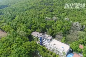 洞中“引力人”视频封面