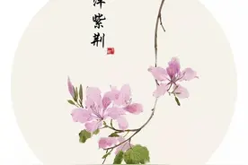 汉字也撞脸！30组相似的字，看你能分清多少？图片