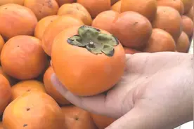 吃水果要适量！女子减肥将柿子当晚餐，结果胃部长出大结石！视频封面
