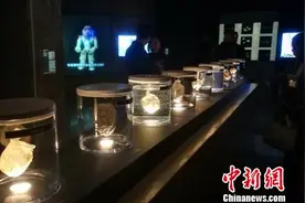 展览“未来演化”亮相17件装置艺术作品探讨人机关系图片