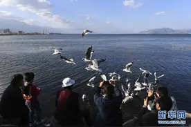 云南大理：洱海景色秀丽图片