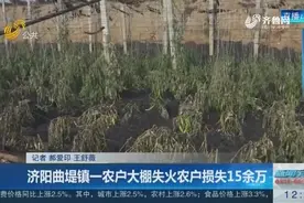 济阳曲堤镇一农户大棚失火，农户损失15余万，警方已介入调查视频封面