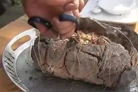 叫花鸡的土味做法，敲开土的那一刻我哭了，太香了！视频封面