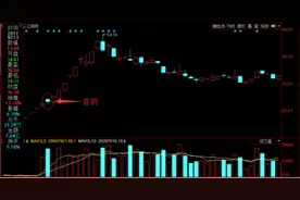 龙头股战法之首阴战法 众游资炒妖必备操盘法图片