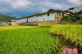 福建永泰庄寨——爱荆庄：“女绅文化”载体的孤本图片