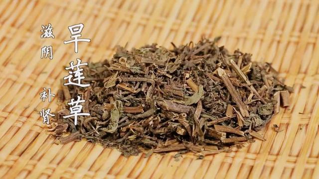 干鱼鳔怎么炖汤才好吃 2026年干鱼鳔怎么炖汤才好吃呢