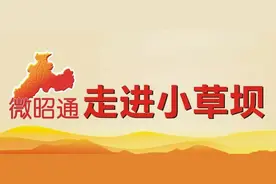 彝良小草坝：世界天麻原产地（组图）图片