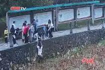 勇入池塘救人的17岁女医学生：“老师教导医者仁心”视频封面